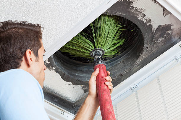 Best Affordable HVAC Duct Cleaning  in Cusseta, GA