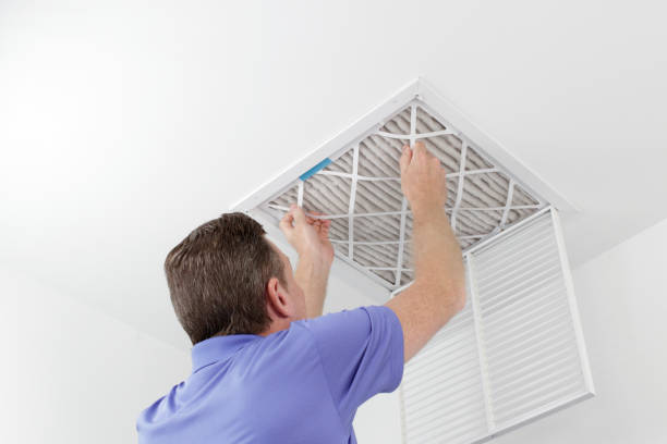 Best Professional Duct Cleaning Services  in Cusseta, GA